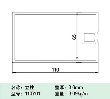 110Y01